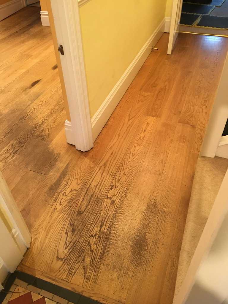 Wood Floor Restoration London - Wood on the Floor